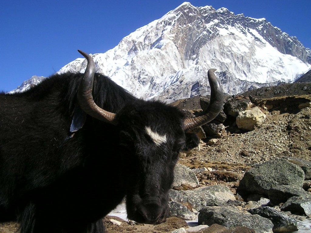 nepal-gory-everest
